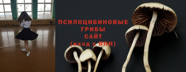 PSILOCYBIN Богородицк