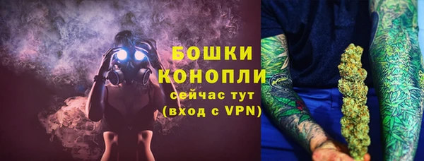 PSILOCYBIN Богородицк